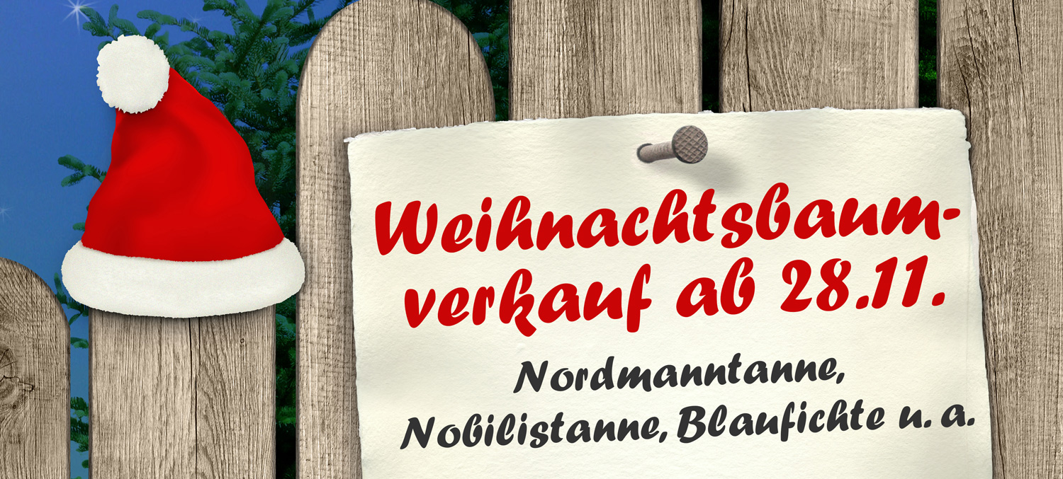 weihnachtsbaumverkauf